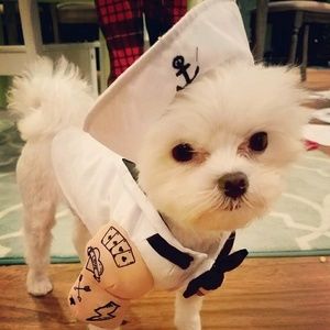 Meet your Posher, Meg